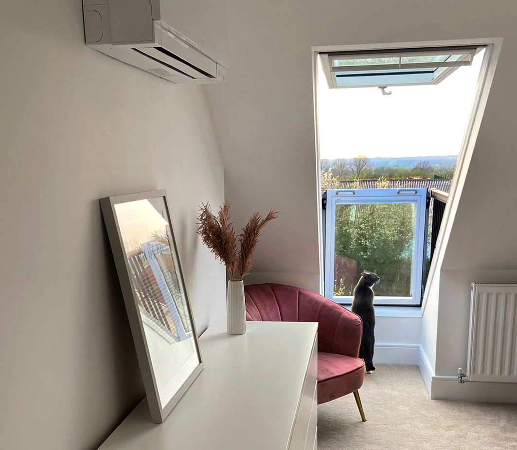 Skylight Balcony Cat Peeking